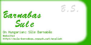 barnabas sule business card